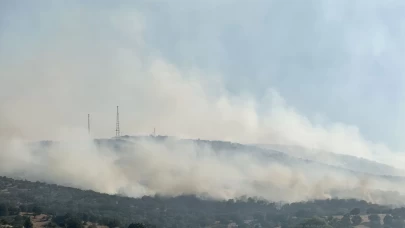 Uşak’ta tarım arazisinde başlayan yangın meşelik alana sıçradı