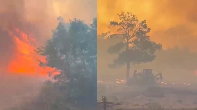 Manisa'da orman yangını