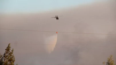 Buca'daki orman yangınıyla ilgili 2 şüpheli gözaltına alındı