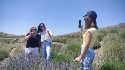 Lavanta tarlalarının mor manzarası eşliğindeki geziye yoğun ilgi
