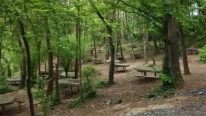 Bolu'da kontrollü piknik alanlarında "ateşli piknik" yasaklandı