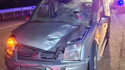 Elazığ'da yaya geçidinde feci kaza: Bir kadın hayatını kaybetti