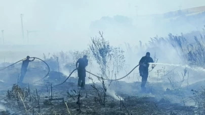 Bandırma-Bursa karayolunda arazi yangını kontrol altına alındı