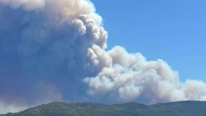 Suriye'nin Lazkiye kentinde orman yangını çıktı 
