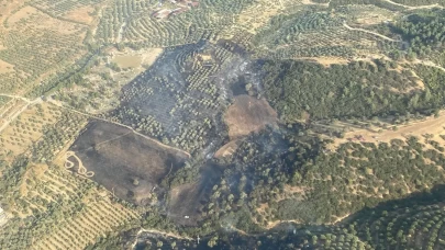 Aydın’daki yangın kontrol altına alındı