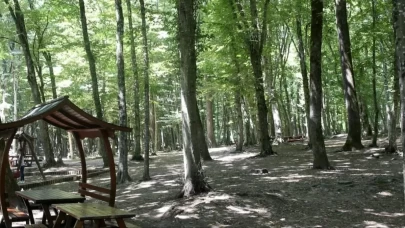 Karaman'da ormanlara girişler yasaklandı