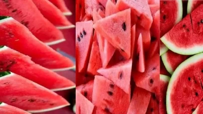 Diyarbakır karpuzunda hasat başladı! Fiyatlar geri çekilebilir