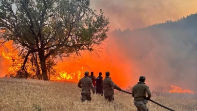 Çıkan 61 orman yangınıyla ilgili 4 şüpheli tutuklandı