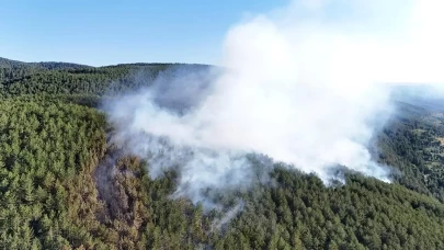 Piknikte mangal ve semaver yasaklandı