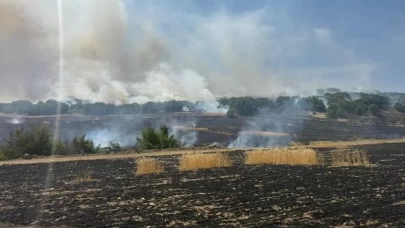 Ormanlık alana ulaşmadan kontrol altına alındı