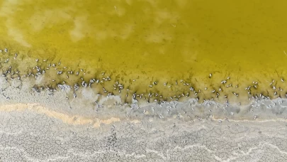 Ulaş Gölü'nde alarm zilleri çalıyor! Su seviyesi gözle görülür şekilde düştü