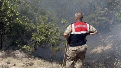 Tunceli’de otluk ve ormanlık alanda yangın