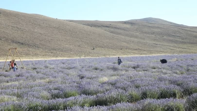 Kadınlara emanet "mor tarla"