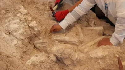 Keçi çobanının keşfettiği fosil alanı 7,7 milyon yıla tarihlendirildi