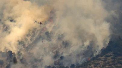 Orman yangınında 2 bin 377 hektarlık alan kül oldu