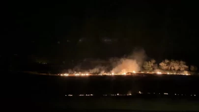 Iğdır'da çıkan anız yangını gün boyu sürdü