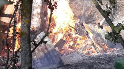 Bolu’da orman yangını başladı