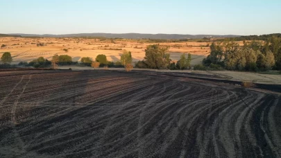 Tekirdağ’da 2 bin 500 dönüm ekili alan ve 200 adet arı kovanı yandı