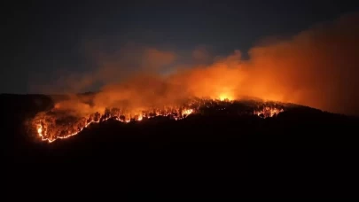 Çankırı'da 40 hektarlık alan kül oldu