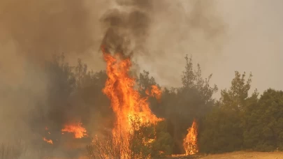 Kula'da orman yangınına müdahale sürüyor