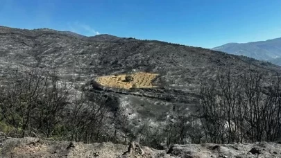 Sadece o bölge yanmadı!