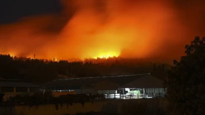 İzmir'de orman yangını çıktı