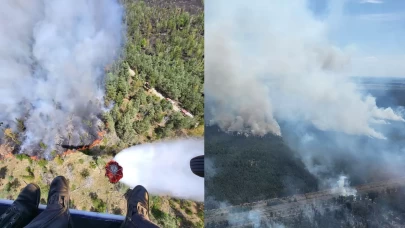 Almanya'nın üç eyaletindeki orman yangınlarıyla mücadele devam ediyor
