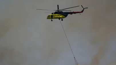 İzmir'de alevlerle zorlu mücadele! Orman Genel Müdürlüğü'nden flaş açıklama