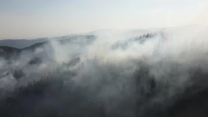Çankırı'da orman yangını
