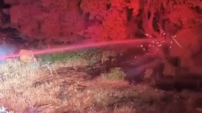 Adıyaman'da 600 dönümlük ormanlık alan küle döndü