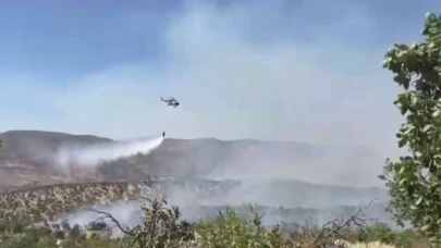 Gabar Dağı'nda orman yangını!