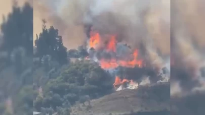 Karamürsel'de orman yangını başladı