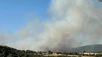 Uşak’ta iki ayrı noktada yangın