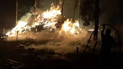 Bilecik’te bir orman yangını daha başladı