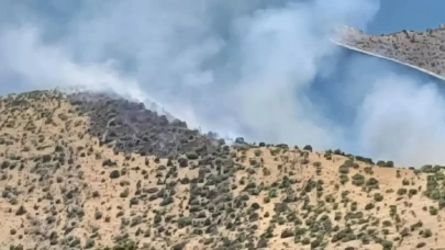 Van'da orman yangını! Araçlar giremedi, alevlere insan gücüyle müdahale