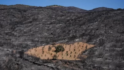 Önceden temizlediği otlar sayesinde yangını önledi