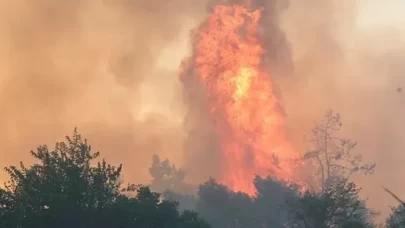 İzmir, Hatay ve Manisa'da yangınlar kısmen kontrol altına alındı