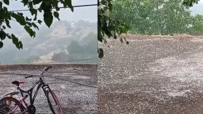 Elazığ'da temmuz ayında dolu yağışı