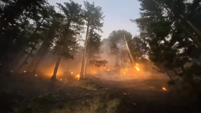 3 noktada orman yangınlarına müdahale sürüyor