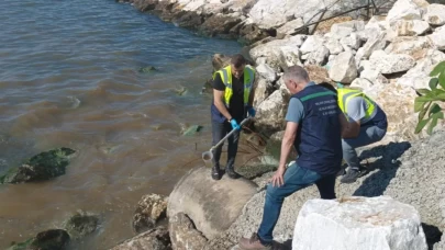 Yalova Belediyesi’ne atık su cezası! Denize deşarja 1.3 milyon lira yaptırım