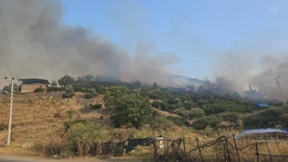 Yerleşim yerine yakın mesafede çıkan yangın büyümeden söndürüldü