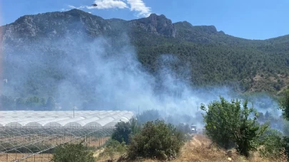 Bilecik'te tarım arazisinde çıkan yangın kontrol altına alındı