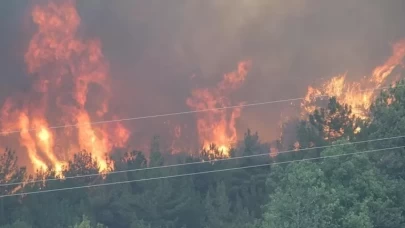 Yangınlarla mücadelede 4. gün! Yangın nedeniyle Mersin'de tahliyeler başladı!