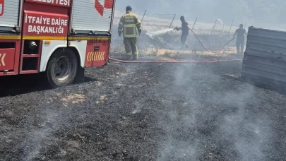 Bandırma'da anız ve ot yangını söndürüldü