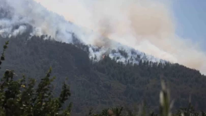 Bilecik’teki orman yangını: Bir benzin istasyonu boşaltılırken, alevler ilçe merkezine doğru ilerliyor