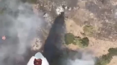 Balıkesir'de orman yangını kontrol altına alındı