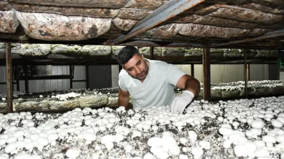 Devlet desteğiyle kurduğu tesiste yıllık 600 ton mantar üretimi yapıyor