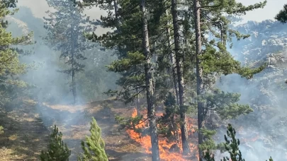 Alanya'da ormanlık alanda yangın çıktı