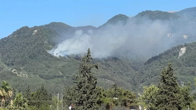 Hatay Dörtyol'da orman yangını çıktı