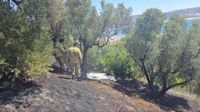 Bu kez Mudanya yandı! Yangına zamanında müdahale buğday tarlasını kurtardı